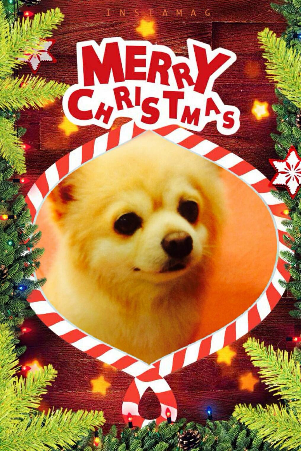 ���Ջ���